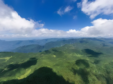 这是8月8日拍摄的重庆雪宝山国家级自然保护区（无人机照片）。新华社记者 黄伟 摄