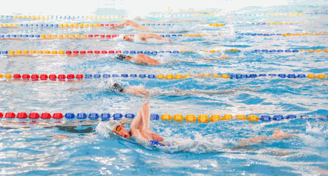 宁波华茂高级中学学生在游泳馆游泳。蒋雨师摄