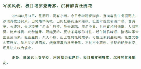 本图片已被缩小，点击查看原大小图片。