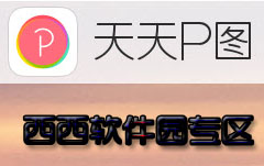 天天p图