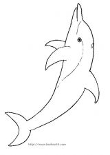 海豚填色图片