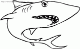 大鲨鱼简笔画
