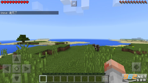 Minecraft(我的世界基岩版1.16.20最新手机版)v1.16.20.52 测试版截图4