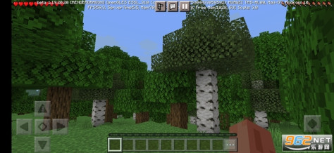 我的世界1.19国际版基岩版(Minecraft)安卓版截图0