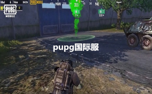 pupg国际服_pupg国际版地铁逃生_pubg龙珠联动下载