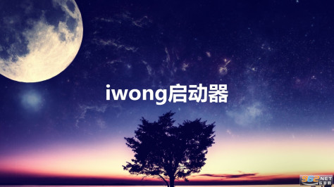 iwong启动器最新版