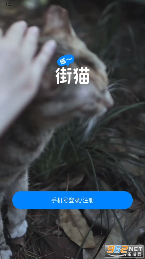 哈啰街猫app官方版