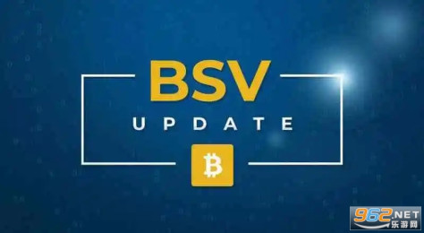 bsv币是什么币 2023年bsv还有希望吗