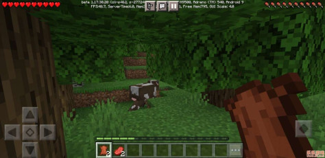 我的世界国际版(Minecraft)v1.20.70.24最新版截图1