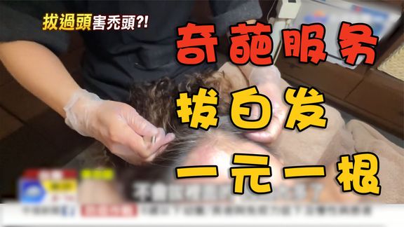 台湾美容院帮人拔白发，一元一根，生意好到爆，美容师日入上千。