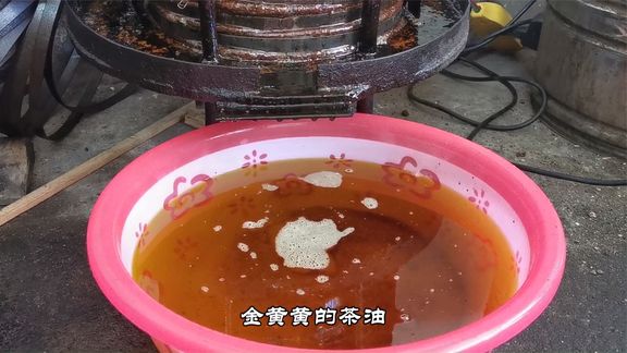 这才是正宗的山茶油，广东师傅用传统的工艺压榨茶籽，出油率高！