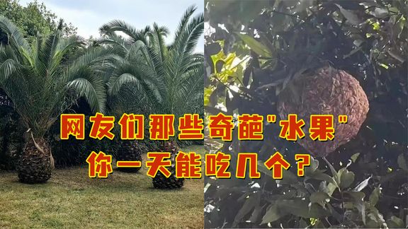 网友们那些奇葩“水果”你一天能吃几个？网友：一个也吃不了！