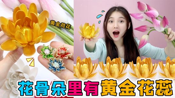 花骨朵里有“黄金花蕊”！放进水里泡一泡，就能长成变色金荷花？