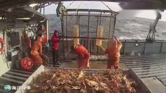 厉害！渔民海上捕捞，这“高级”渔具让螃蟹一堆堆的上船