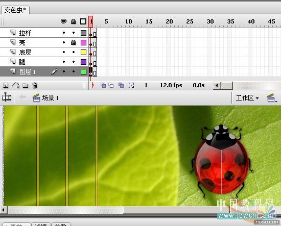 Photoshop结合Flash制作瓢虫变色交互动画(3)
