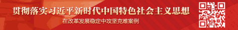 贯彻落实习近平新时代中国特色社会主义思想 在改革发展稳定中攻坚克难案例