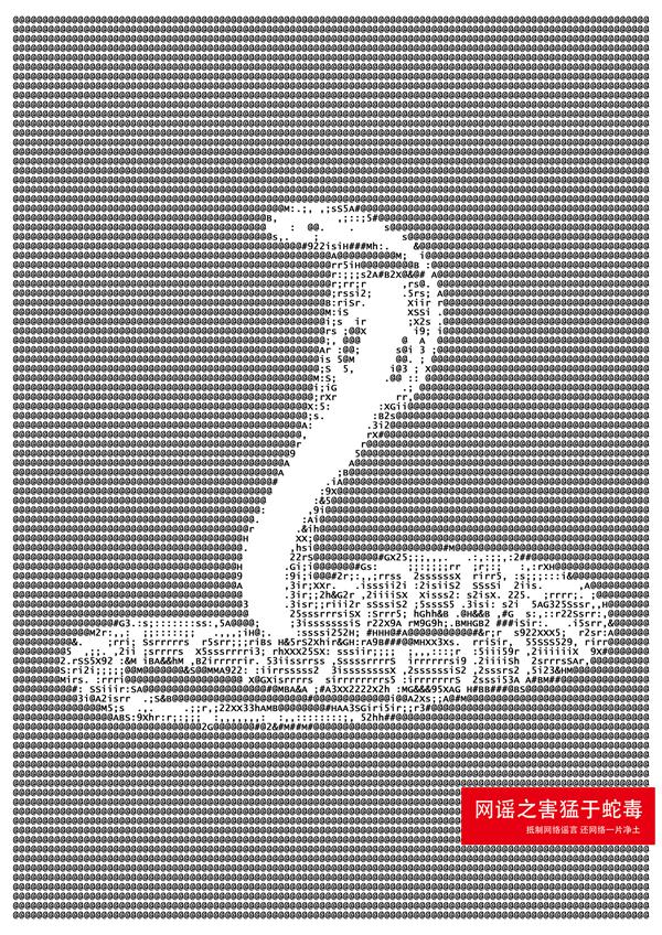 平面作品22号：网谣之害猛于蛇蝎之毒（系列作品）