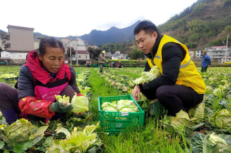 专项种植指导组的工作人员（右）正在为村民答疑解惑。受访者供图