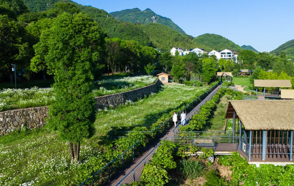 入夏首日，婺城这个地方有点浪漫！