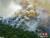 巴西亚马孙雨林大火持续 密林中浓烟滚滚