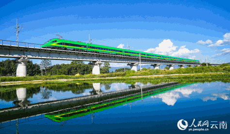 中老铁路中国段，复兴号动车组飞驰在西双版纳州橄榄坝大桥上。 杨林摄
