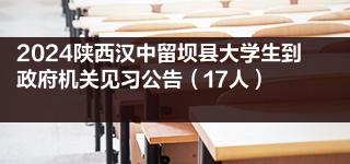 2024陕西汉中留坝县大学生到政府机关见习公告（17人）