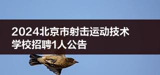 2024北京市射击运动技术学校招聘1人公告