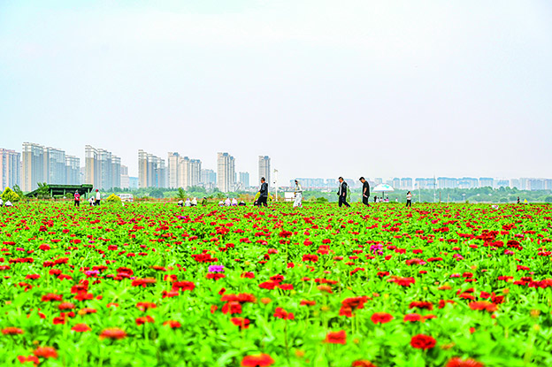 《敕勒歌》唱响地，以文润城谱新曲