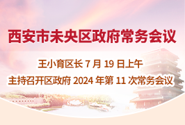 解读-未央区政府召开2024年第11次常务会议