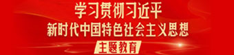 学习贯彻习近平新时代中国特色社会主义思想主题教育