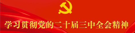 学习贯彻党的二十届三中全会精神