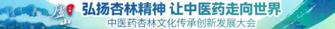 中医药杏林文化传承创新发展大会