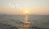 碧海银滩看厦门｜一行白鹭上青天