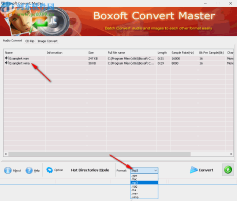 Boxoft Converter Master(音频图像格式转换软件)
