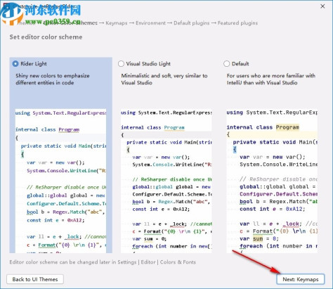 JetBrains Rider 2020汉化包