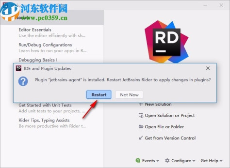 JetBrains Rider 2020汉化包