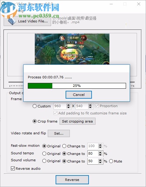 Easy Video Reverser下载
