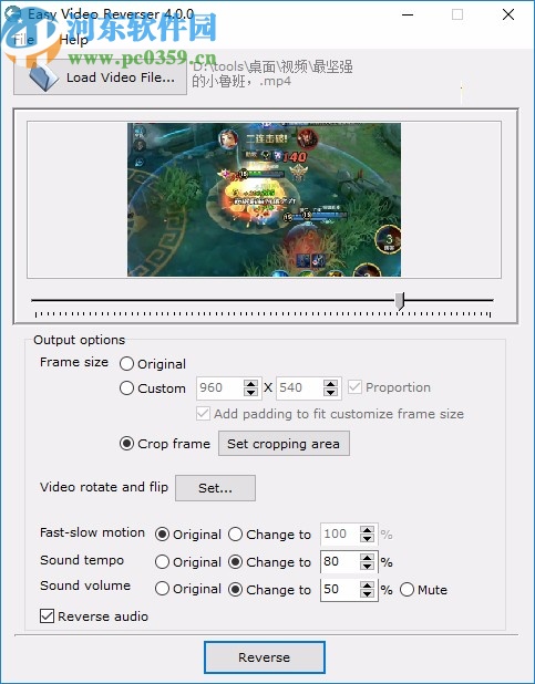 Easy Video Reverser下载