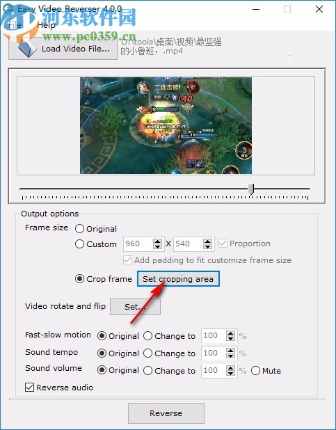 Easy Video Reverser下载