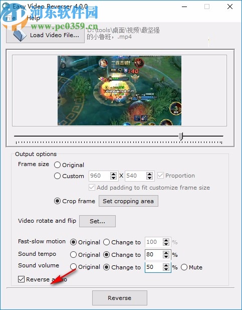 Easy Video Reverser下载