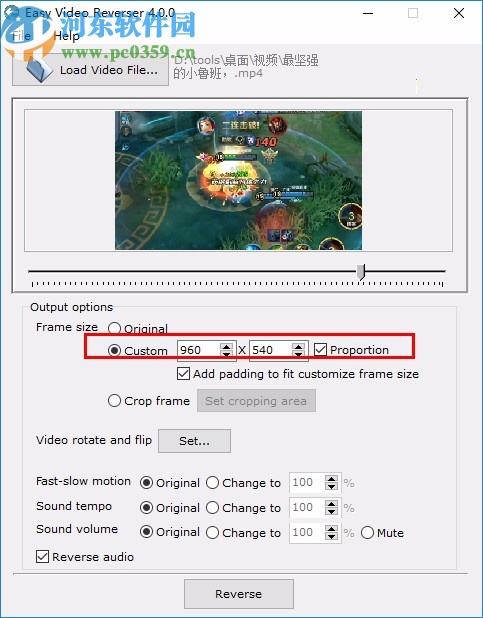 Easy Video Reverser下载