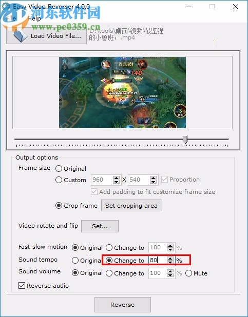 Easy Video Reverser下载