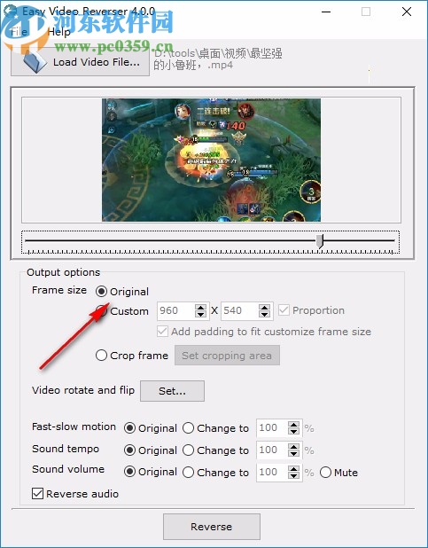 Easy Video Reverser下载