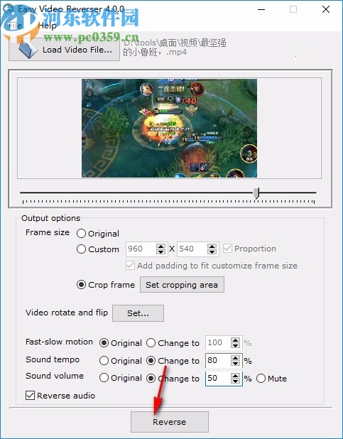 Easy Video Reverser下载