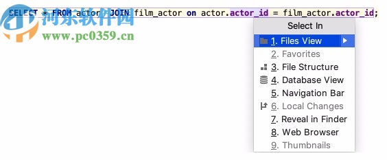 JetBrains DataGrip 2020.1中文补丁