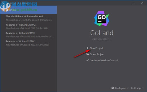 jetbrains goland 2020.1汉化包