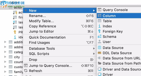 JetBrains DataGrip 2020.1中文破解版