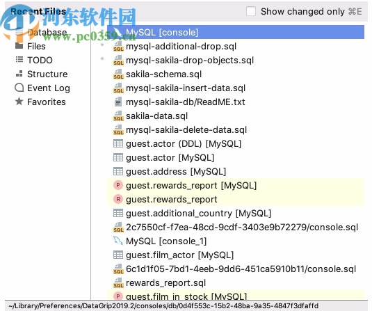 JetBrains DataGrip 2020.1中文补丁