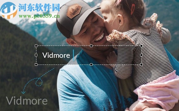 Vidmore(免费视频格式转换软件)