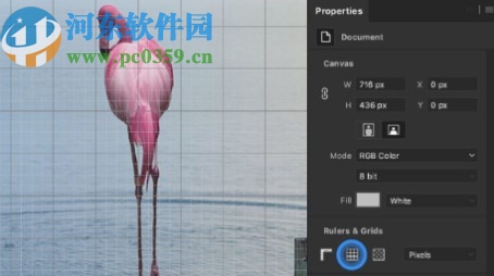 photoshop2020绿色版